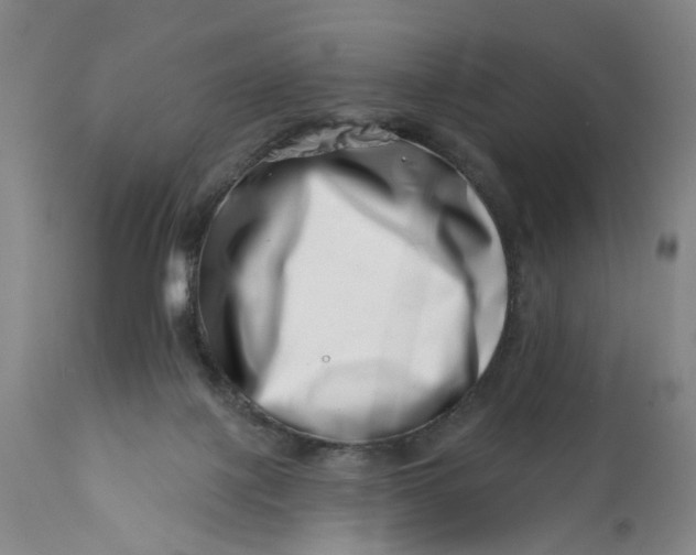 X0000113200075200910011306