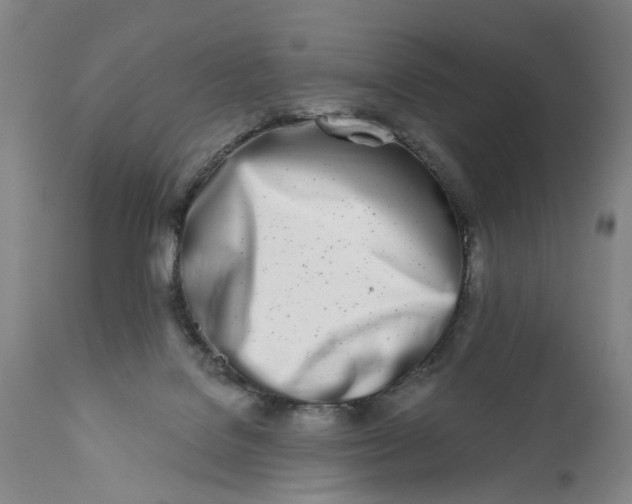 X0000113200076200910011306