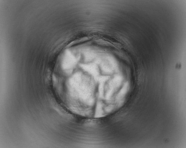 X0000113200077200910011306