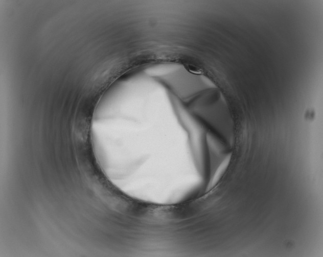 X0000113200078200910011306