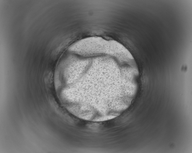 X0000113200079200910011306