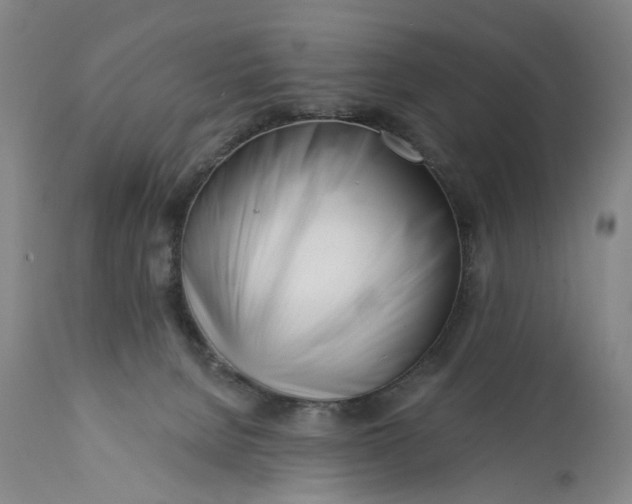 X0000113200080200910011306