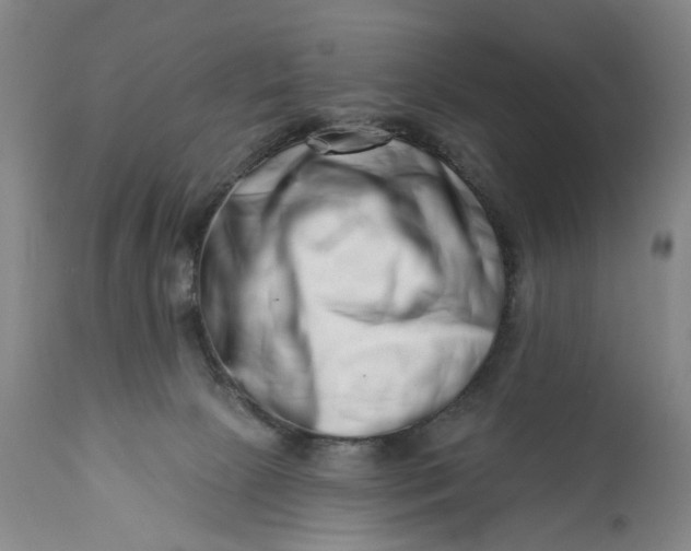 X0000113200081200910011306