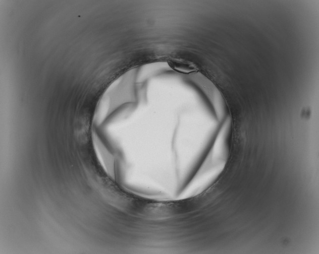 X0000113200082200910011306