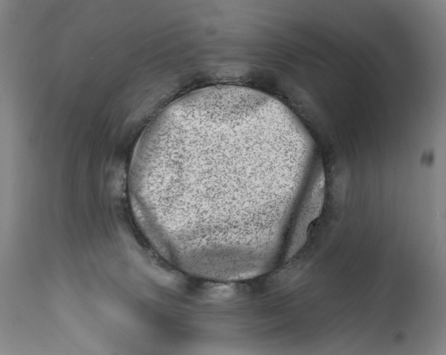 X0000113200083200910011306