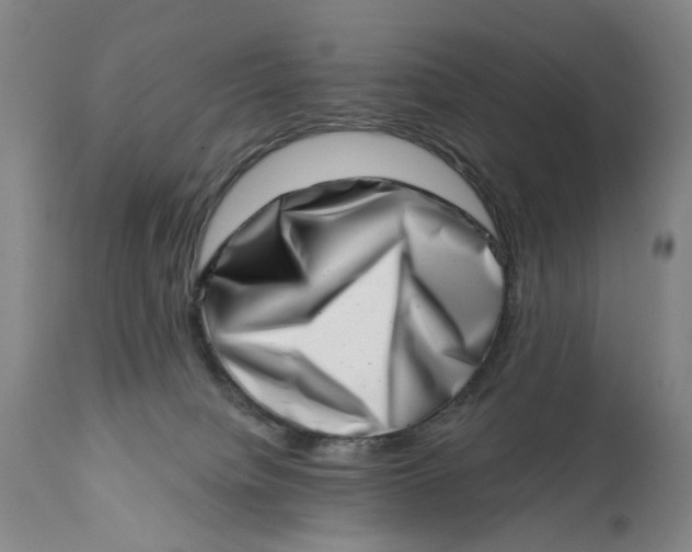 X0000113200084200910011306