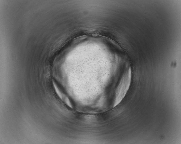 X0000113200085200910011306