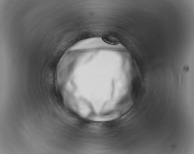 X0000113200086200910011306