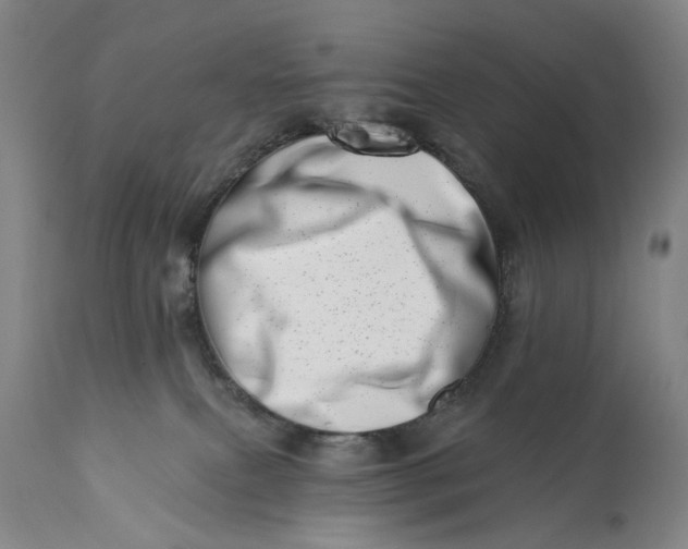 X0000113200087200910011306