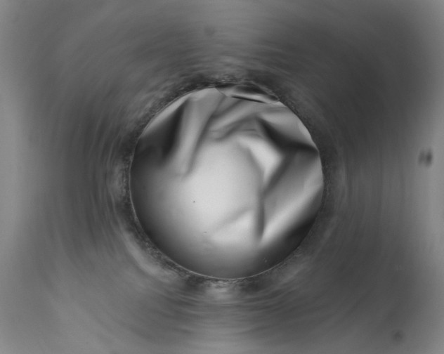 X0000113200088200910011306