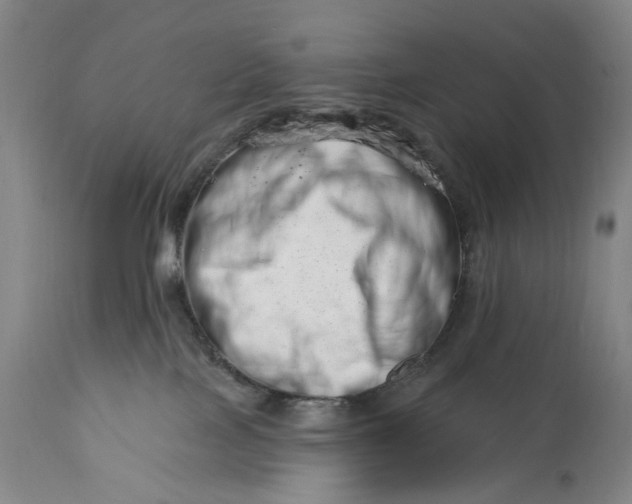 X0000113200089200910011306