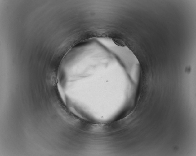 X0000113200090200910011306