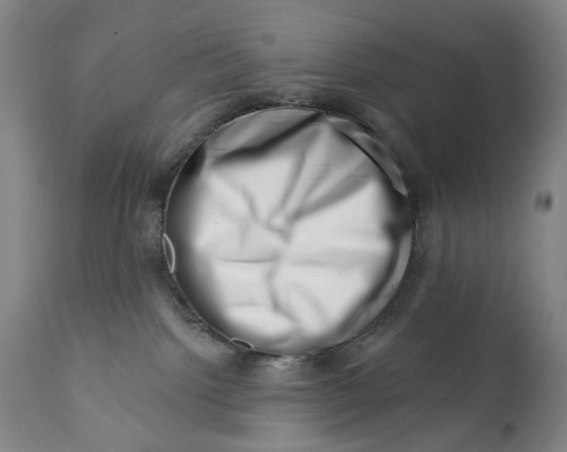 X0000113200092200910011306