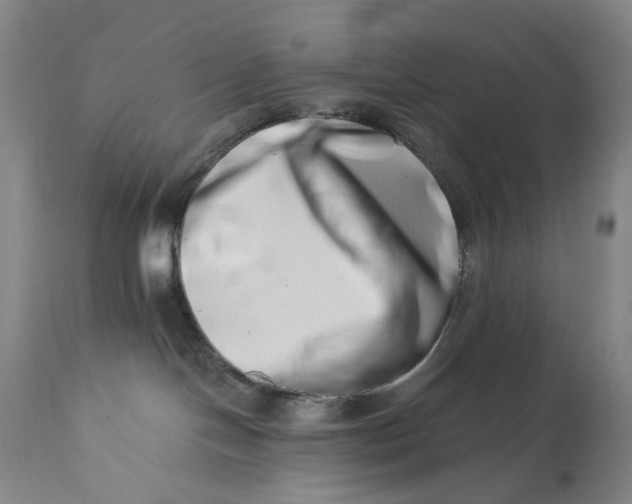 X0000113200094200910011306