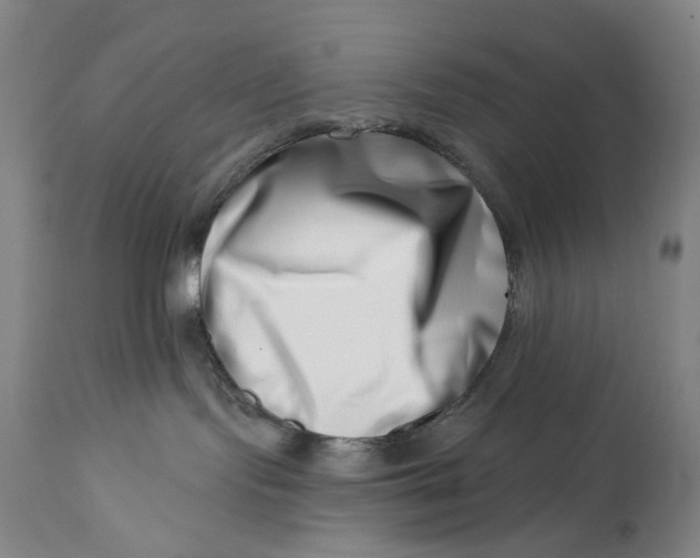 X0000113200095200910011306