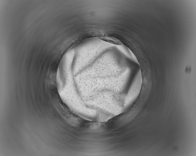 X0000113200096200910011306