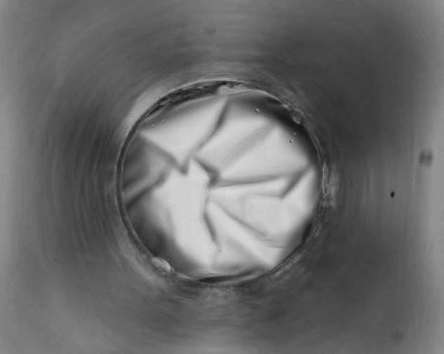 X0000113200099200910011306