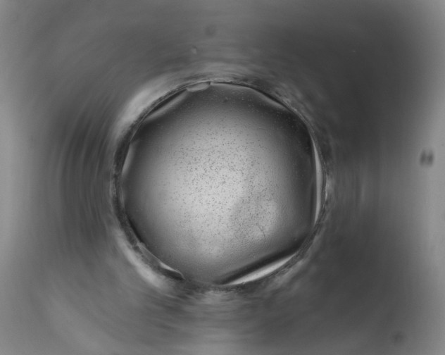 X0000113200101200910011306