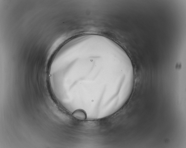 X0000113200102200910011306