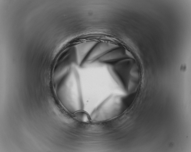 X0000113200107200910011305