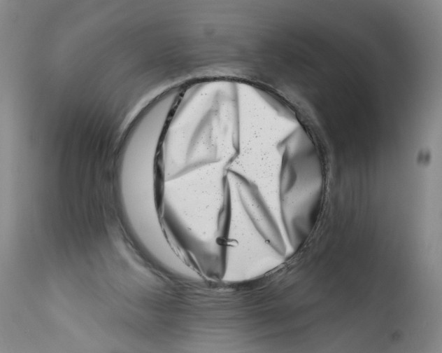 X0000113200108200910011305