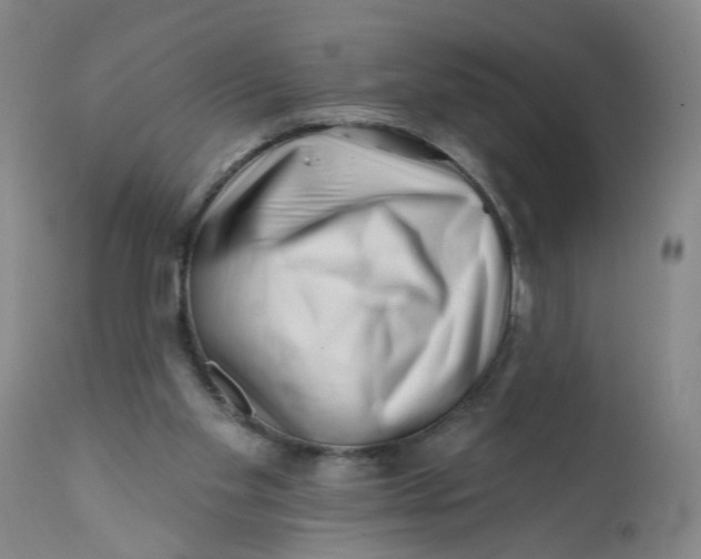 X0000113200109200910011305