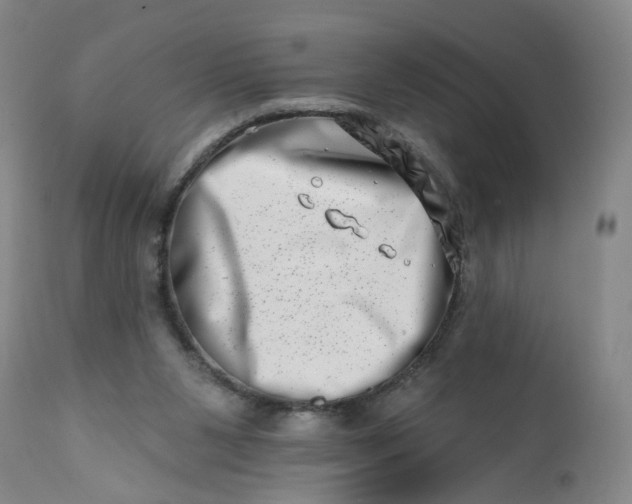 X0000113200111200910011305