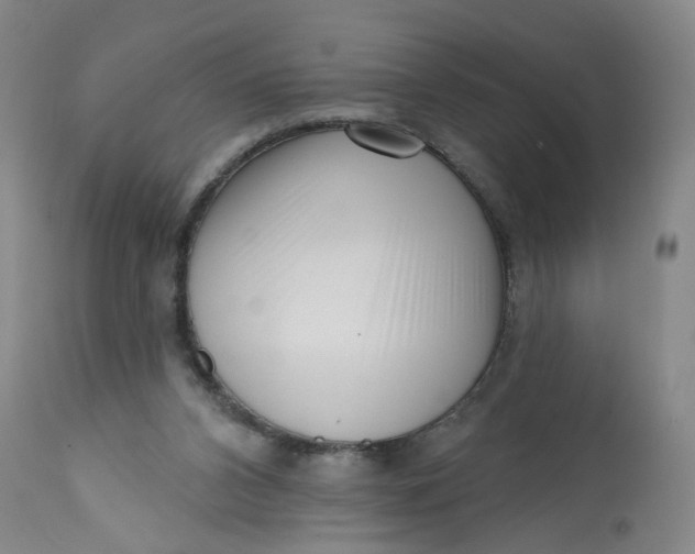 X0000113200112200910011305