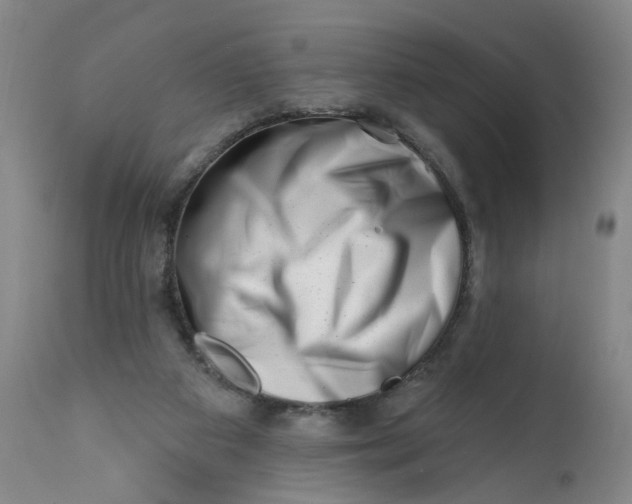 X0000113200113200910011305