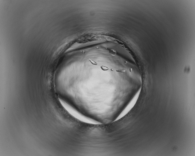 X0000113200115200910011305