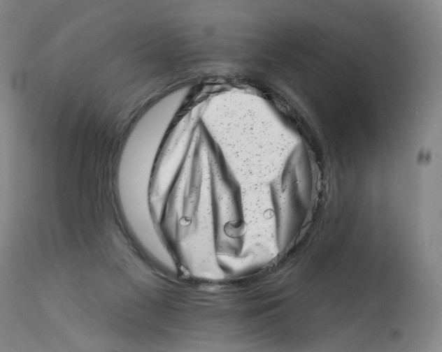 X0000113200117200910011305