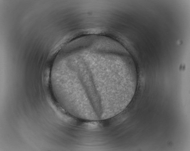 X0000113200118200910011305