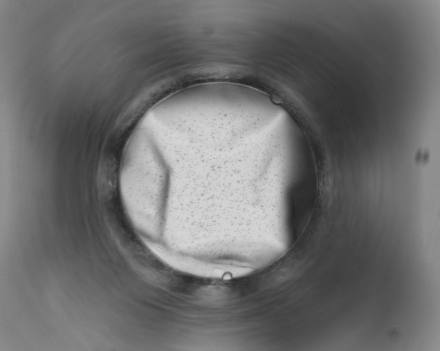 X0000113200119200910011305