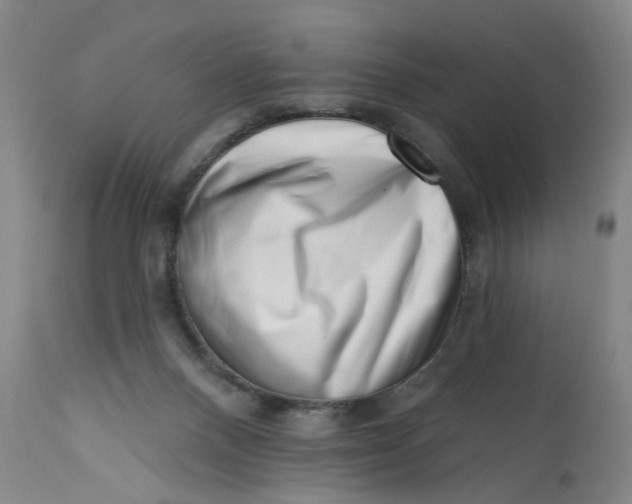 X0000113200120200910011305