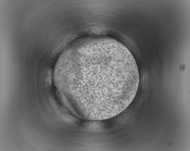 X0000113200121200910011305