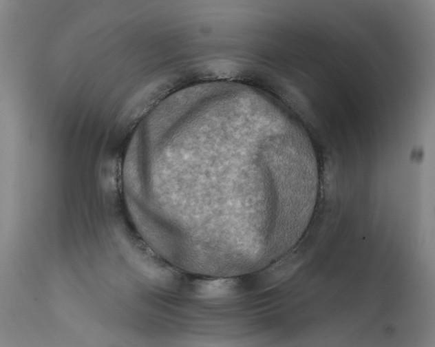 X0000113200122200910011305