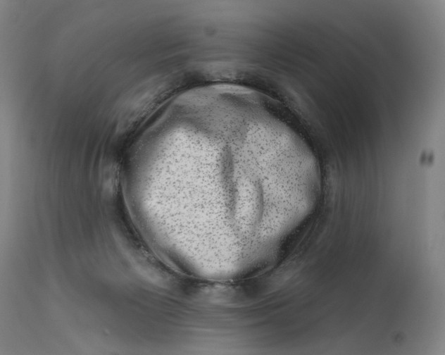 X0000113200125200910011305