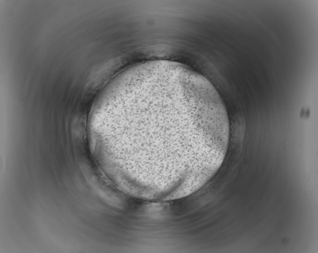 X0000113200126200910011305