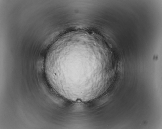 X0000113200127200910011305