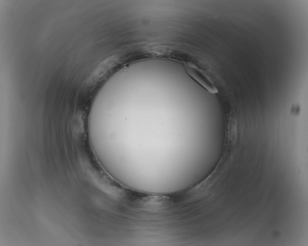 X0000113200128200910011305