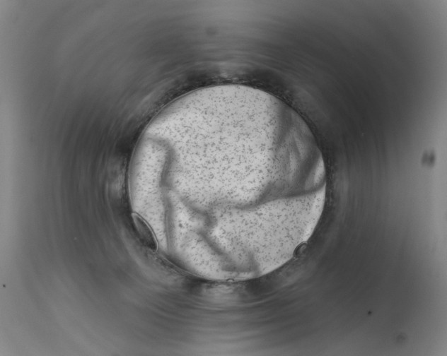 X0000113200129200910011305