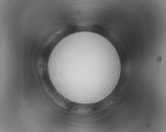 X0000113200130200910011305