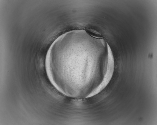 X0000113200131200910011305