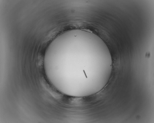 X0000113200132200910011305