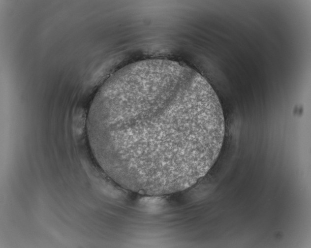 X0000113200133200910011305