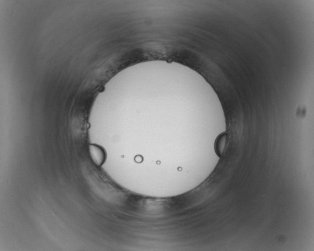 X0000113200134200910011305