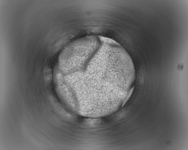 X0000113200135200910011305