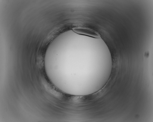 X0000113200136200910011305