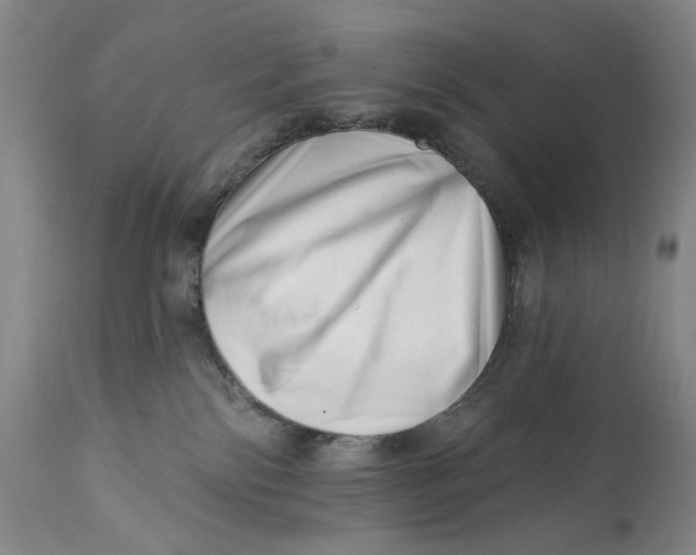 X0000113200138200910011305