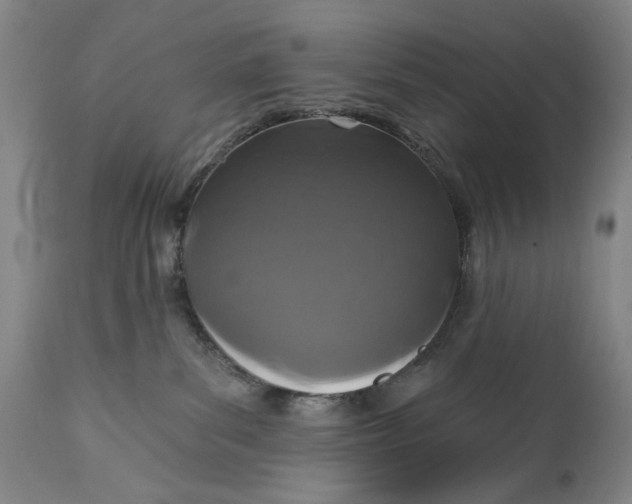 X0000113200139200910011305